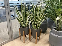 Kunstplant met pot (8x) - afbeelding 2 van  6