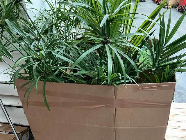 Kunstplant met pot (8x) - afbeelding 6 van  6