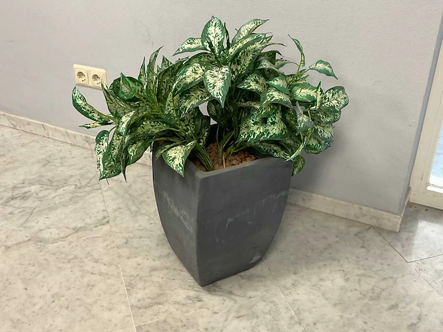 Kunstplant met pot - afbeelding 1 van  1