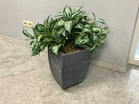 Kunstplant met pot - afbeelding 1 van  1