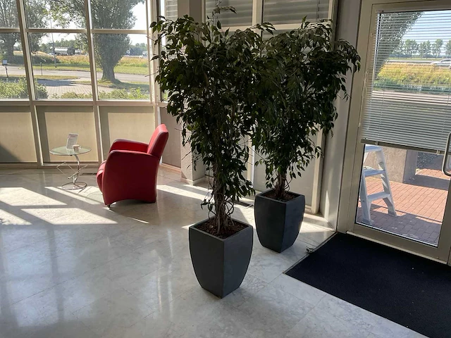Kunstplant met pot - afbeelding 1 van  3