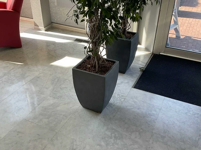 Kunstplant met pot - afbeelding 3 van  3