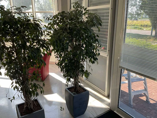 Kunstplant met pot - afbeelding 1 van  3