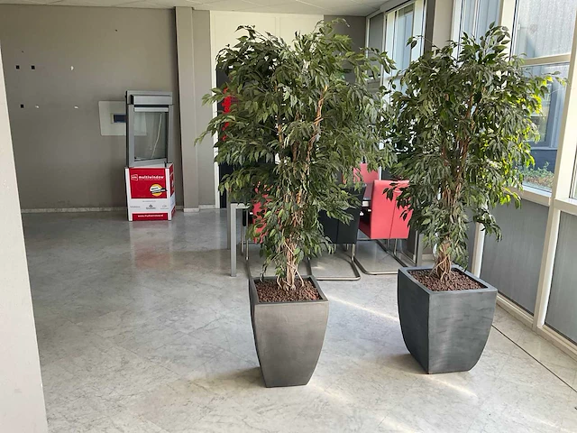 Kunstplant met pot - afbeelding 1 van  3