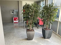 Kunstplant met pot