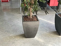 Kunstplant met pot - afbeelding 3 van  3