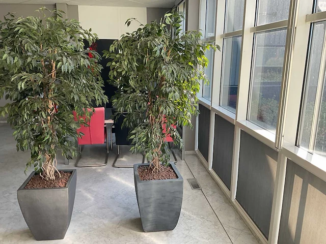 Kunstplant met pot - afbeelding 1 van  3