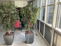 Kunstplant met pot