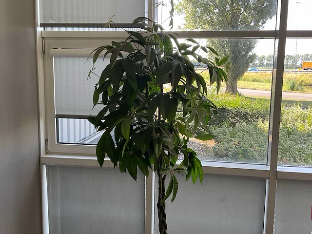 Kunstplant met pot - afbeelding 2 van  3