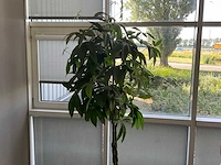 Kunstplant met pot - afbeelding 2 van  3
