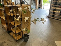 Kunstplant met pot - afbeelding 1 van  3