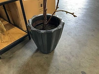 Kunstplant met pot - afbeelding 2 van  3