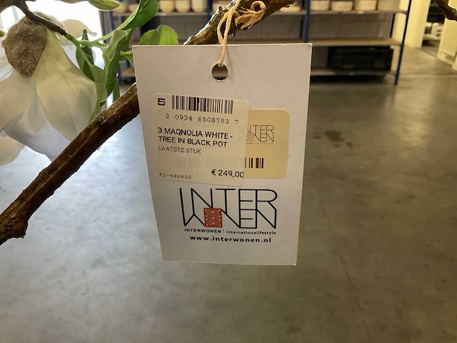 Kunstplant met pot - afbeelding 3 van  3