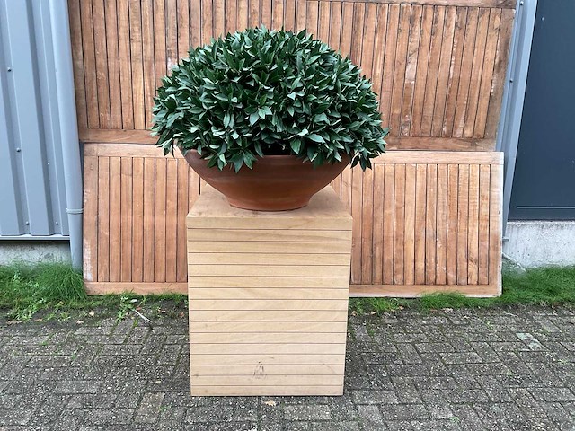 Kunstplant op zuil - afbeelding 1 van  3