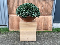 Kunstplant op zuil - afbeelding 1 van  3