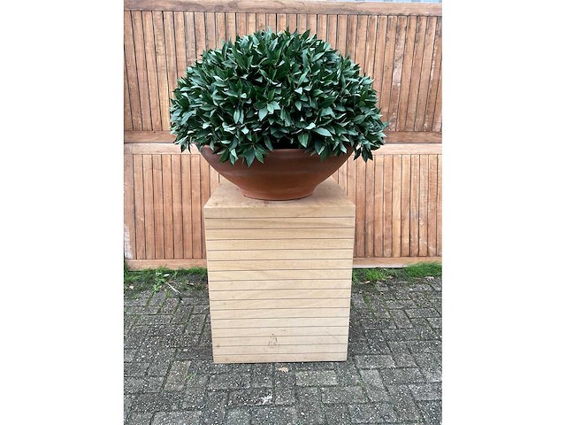 Kunstplant op zuil - afbeelding 2 van  3