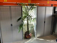 Kunstplant (ptmd) met pot - afbeelding 1 van  3