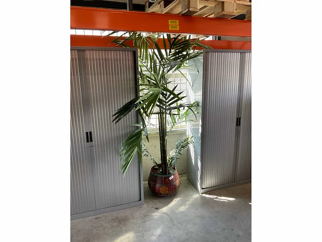 Kunstplant (ptmd) met pot - afbeelding 3 van  3
