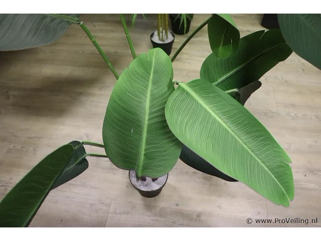 Kunstplanten - 3 stuks - afbeelding 2 van  4