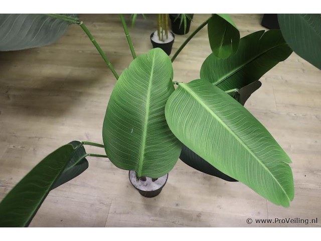 Kunstplanten - 3 stuks - afbeelding 2 van  4