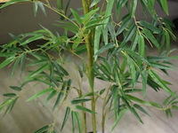 Kunstplanten - 3 stuks - afbeelding 3 van  4