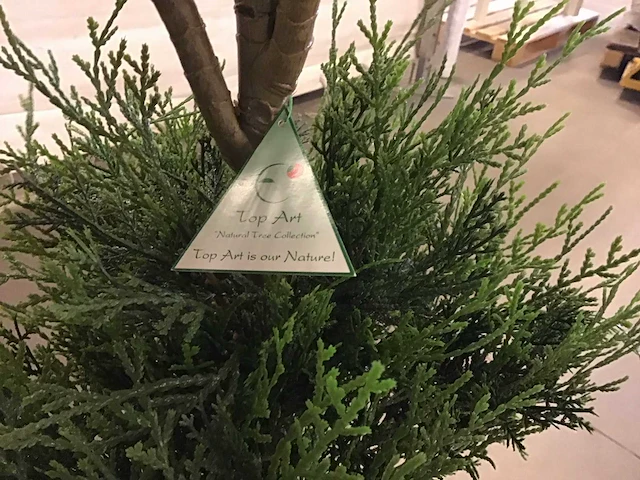 Kunstplanten (12x) nieuw - afbeelding 2 van  4