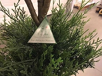Kunstplanten (12x) nieuw - afbeelding 2 van  4