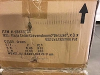 Kunstplanten (12x) nieuw - afbeelding 3 van  4