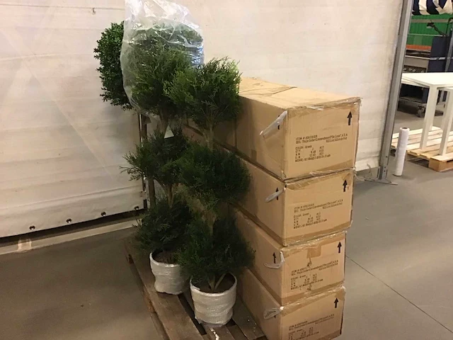 Kunstplanten (12x) nieuw - afbeelding 4 van  4