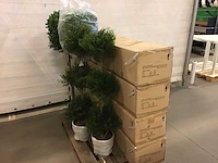 Kunstplanten (12x) nieuw - afbeelding 4 van  4