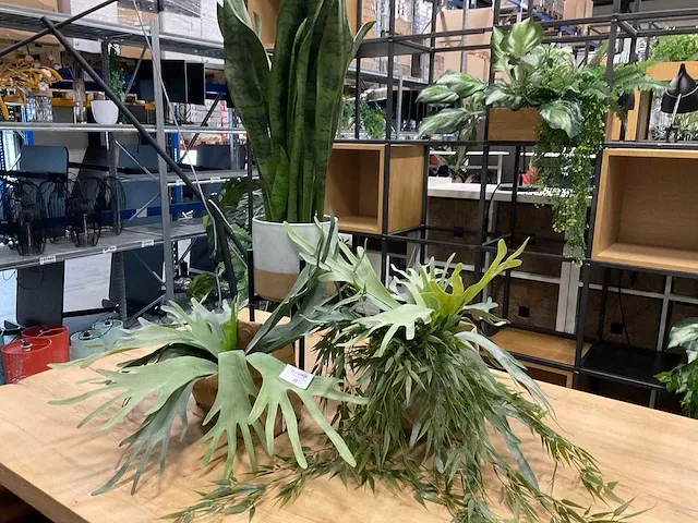 Kunstplanten (3x) - afbeelding 1 van  2