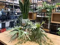 Kunstplanten (3x) - afbeelding 1 van  2