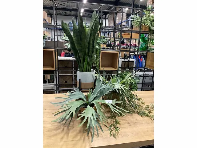 Kunstplanten (3x) - afbeelding 2 van  2