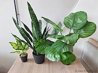 Kunstplanten, diverse soorten