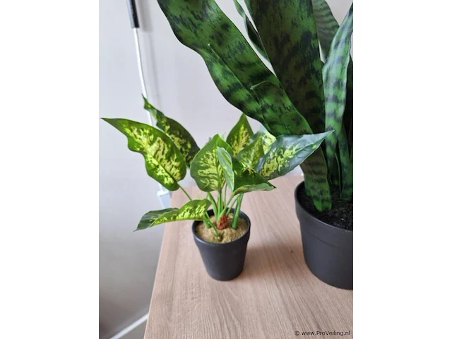 Kunstplanten, diverse soorten - afbeelding 2 van  4