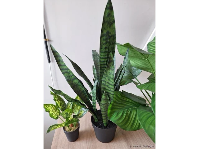 Kunstplanten, diverse soorten - afbeelding 3 van  4