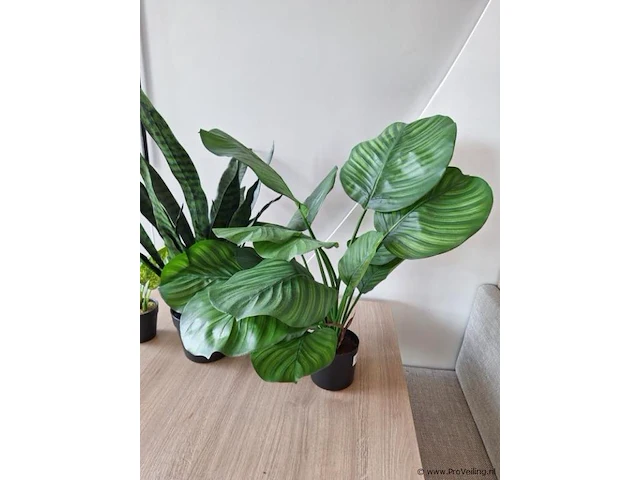 Kunstplanten, diverse soorten - afbeelding 4 van  4