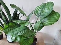 Kunstplanten, diverse soorten - afbeelding 4 van  4