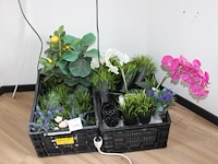Kunstplanten en bloemen in twee kratten. - afbeelding 1 van  2