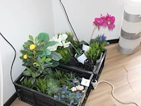 Kunstplanten en bloemen in twee kratten. - afbeelding 2 van  2