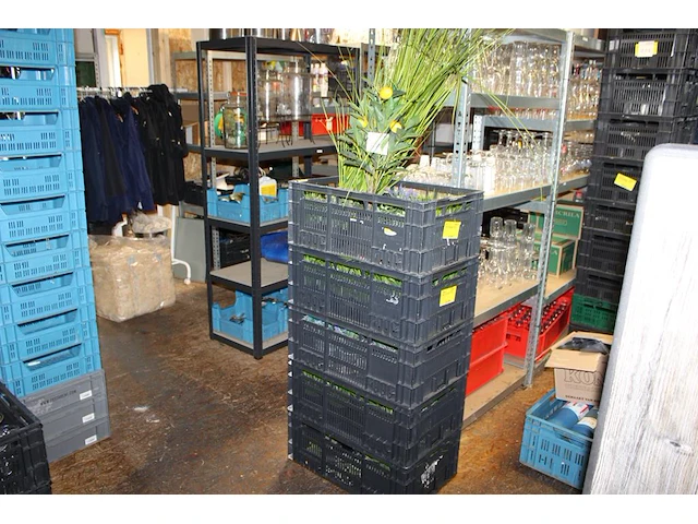 Kunstplanten in diverse maten en uitvoeringen in vijf kunststof kratten. - afbeelding 1 van  4