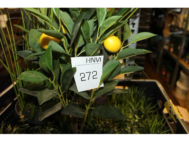 Kunstplanten in diverse maten en uitvoeringen in vijf kunststof kratten. - afbeelding 3 van  4