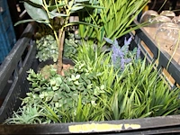 Kunstplanten in diverse maten en uitvoeringen in vijf kunststof kratten. - afbeelding 4 van  4