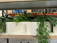 Kunstplanten met bakken (4x) - afbeelding 3 van  4