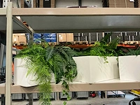 Kunstplanten met bakken (4x) - afbeelding 4 van  4