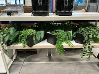 Kunstplanten met bakken (4x) - afbeelding 1 van  3