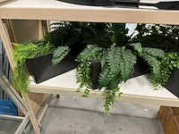 Kunstplanten met bakken (4x) - afbeelding 3 van  3
