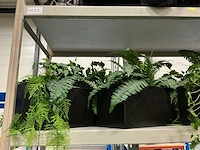 Kunstplanten met bakken (4x) - afbeelding 2 van  3