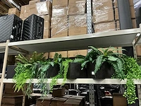 Kunstplanten met bakken (4x) - afbeelding 1 van  3