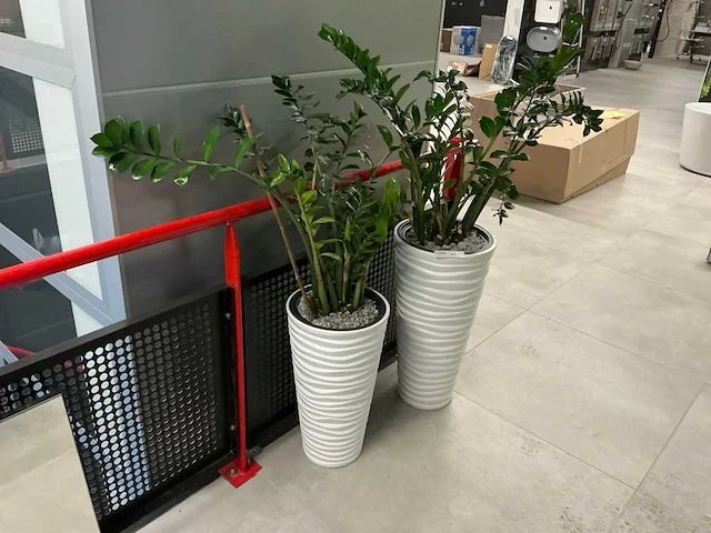 Kunstplanten met pot (2x) - afbeelding 1 van  4